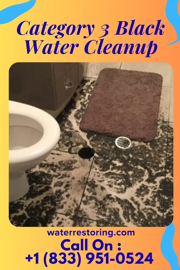 Category 3 Black Water Cleanup in Galena, MD