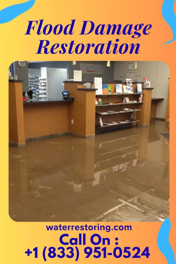 Flood Damage Restoration in Galena, MD
