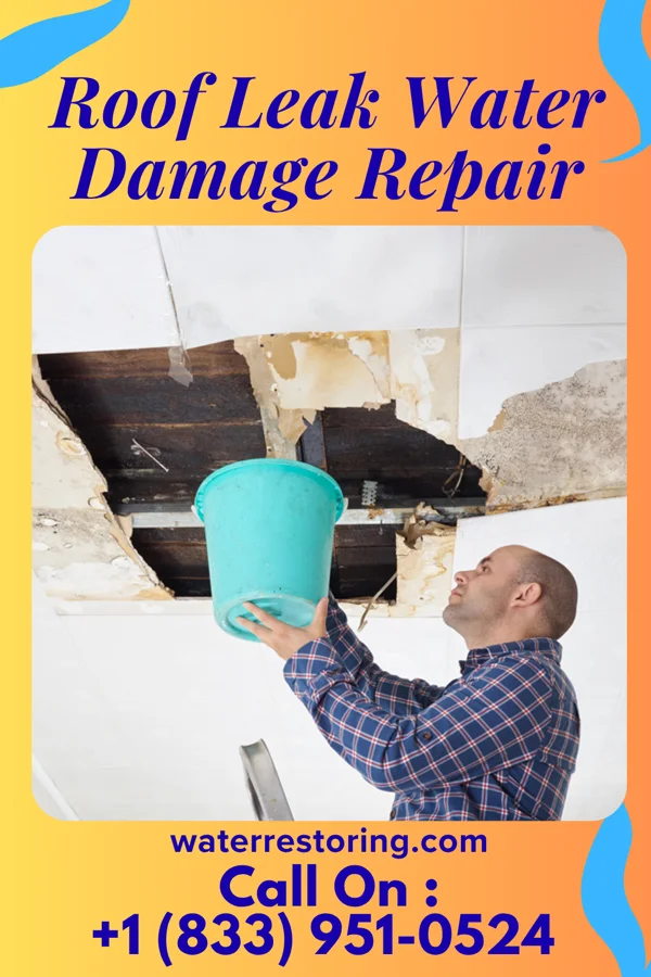 Roof Leak Water Damage Repair in Galena, MD
