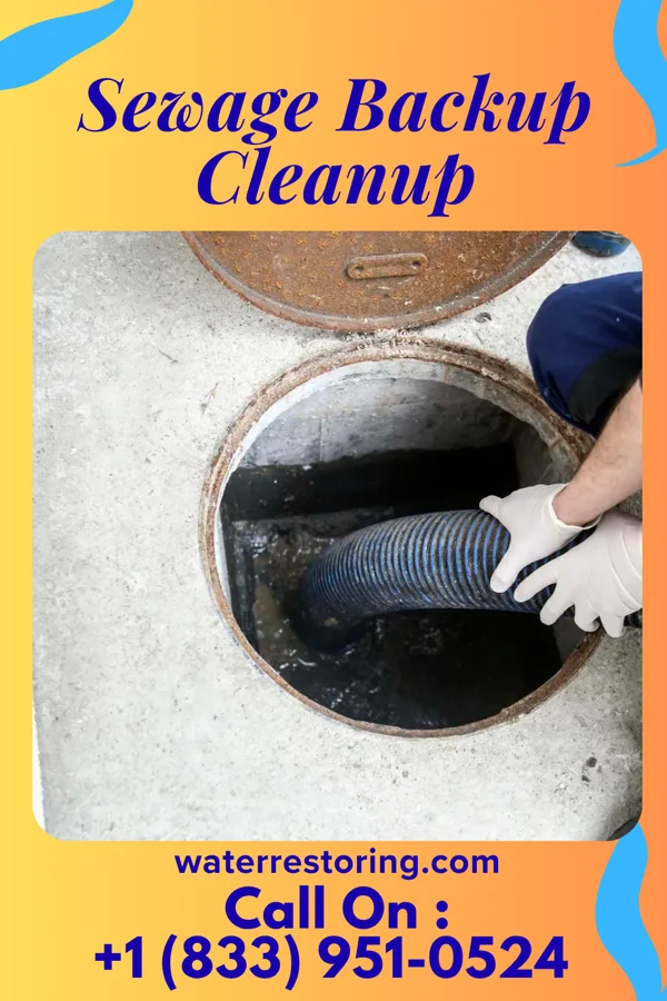 Sewage Backup Cleanup in Galena, MD
